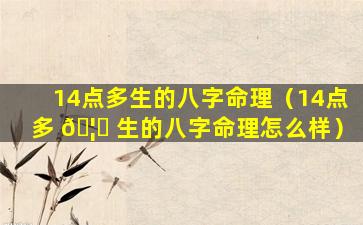 14点多生的八字命理（14点多 🦉 生的八字命理怎么样）